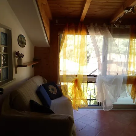 Gala Apartment